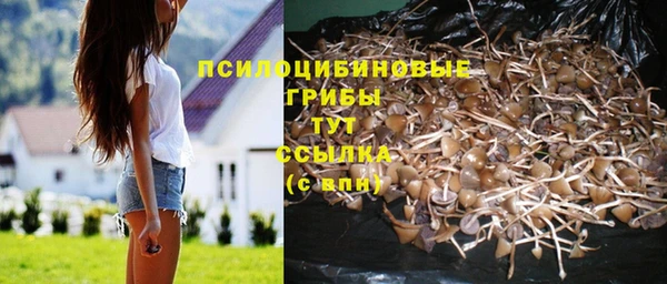 альфа пвп VHQ Гусиноозёрск