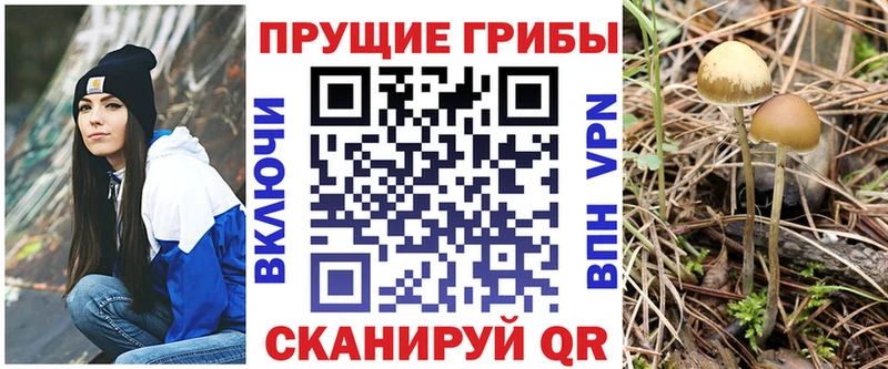 Галлюциногенные грибы MAGIC MUSHROOMS  Купить  Архангельск 