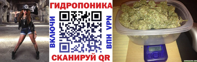 Купить закладки  Архангельск  МАРИХУАНА Amnesia 